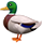 🦆