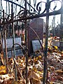 Состояние захоронения Ламановых-Каютовых-Крахт на Ваганьковском кладбище
