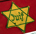 The yellow Star of David made mandatory by the Vichy regime in France.