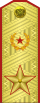 Парадный погон генерала армии (с 2013)