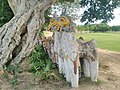 Современные раскрашенные лошади возле священного дерева, Тамилнад, Индия