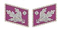 SA Gorget patches