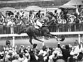 Image 4Phar Lap winning the Melbourne Cup, "the race that stops a nation" (from Culture of Australia)