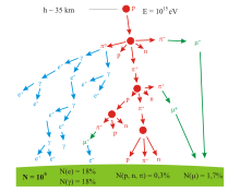 A branching tree representing the particle production