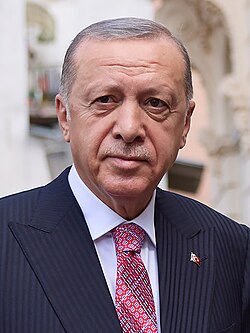 Эрдоган в 2022 году