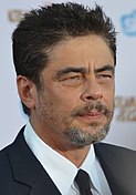 Photo of Benicio Del Toro.