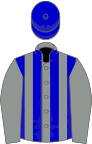 Grey, royal blue stripes on body, royal blue cap