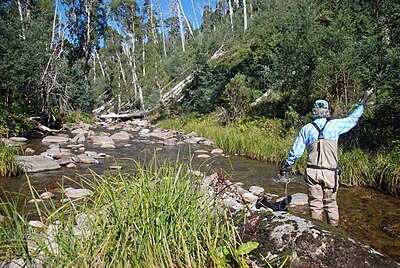 Kiewa Valley