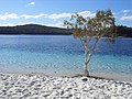 Image 25Lake McKensie, K'gari (Fraser Island) (from Queensland)