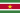 Bandiera del Suriname
