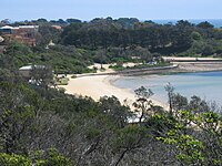 Mornington Mills Beach