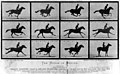 Image 14Eadweard Muybridge's The Horse in Motion cabinet cards utilized the technique of chronophotography to study motion. (from History of film)