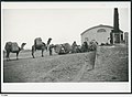 Image 15Camel train, with wool from Nappamerry being unloaded at the Railway Station, 1928. (from Transport in South Australia)