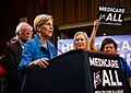 Image 6Elizabeth Warren and Bernie Sanders campaigning for extended US Medicare coverage in 2017. (from Health politics)