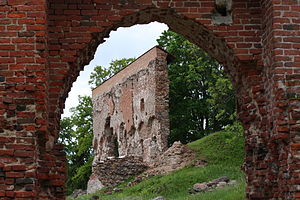 Руины Феллинского замка