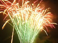 Fireworks in Narberth, Pennsylvania.