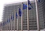 Flags of the European Union outside of the European Commission