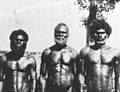 Image 36Men from Bathurst Island, 1939 (from Aboriginal Australians)