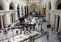 Image 35The main hall of the Field Museum of Natural History in 2007, with Sue the T. rex in the foreground (from Culture of Chicago)