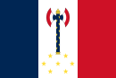 Личный флаг главы Французского государства маршала Анри Петена (Рис. 13)