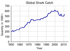 Line graph showing the rapidly growing annual shark harvest