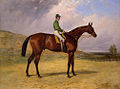 George Fordham in Batthyány's new colours on Prince Plausible (foaled 1858), painted by Harry Hall