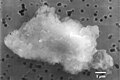 Image 13Smooth chondrite interplanetary dust particle. (from Cosmic dust)