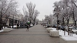 Улица Панфилова, вид в направлении на юг