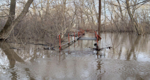 В Рубцовске уровень воды в реке Алей находится в пределах нормы