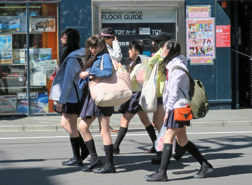 ninetail-fox:
“a street ,Akihabara
”