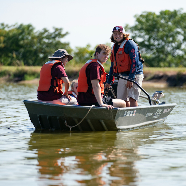 students conducting ecology research on a boat