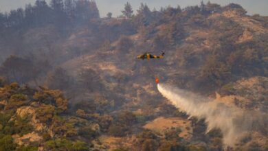 Firefighters battle a strong forest fire in Turkey's Aegean city of Izmir for a third day © Yasin AKGUL / AFP