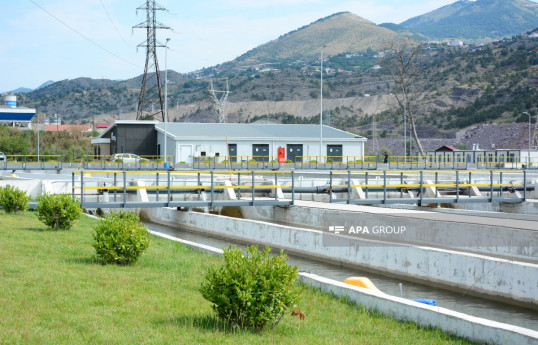 Laçındakı Həkəri Balıqçılıq Təsərrüfatının məhsullarının Avropaya da çıxarılması nəzərdə tutulur - FOTO 