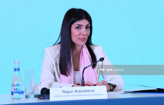 Nigar Arpadarai: COP29-da bir çox ölkələr onları narahat edən suallara cavab tapa biləcək