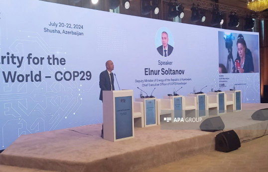 Elnur Soltanov: COP29-un gündəliyinə 14 məsələ daxil edilib