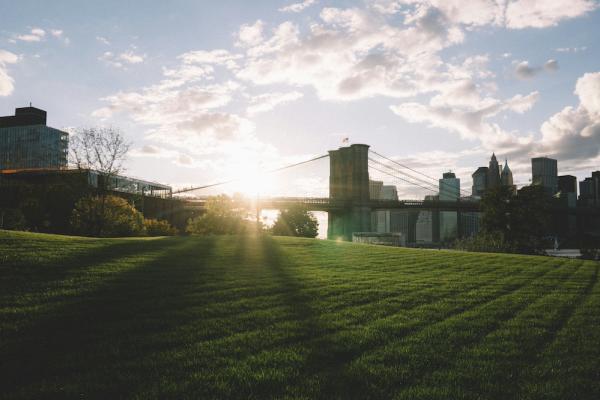 Grassy field in front of a distant bridege at sunrise