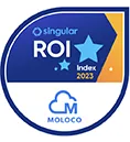 ROI Index