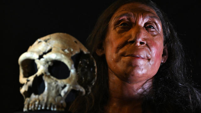 BRITAIN-IRIAQ-ARCHAEOLOGY-NEANDERTHAL 