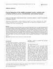 Research paper thumbnail of Fractal dimension of the middle meningeal vessels: variation and evolution in Homo erectus , Neanderthals, and modern humans