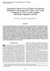 Research paper thumbnail of Transcription Factor NF-IL6 (C/EBPβ) Activates the Expression of the Mouse MHC Class IH2-KbGene in Response to TNF-αvia the Intragenic Downstream Regulatory Element