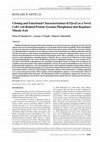 Research paper thumbnail of Cloning and functional characterization of PTRF, a novel protein which induces dissociation of paused ternary transcription complexes