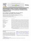 Research paper thumbnail of Histopathological studies of sclerotia of phytopathogenic fungi parasitized by a GFP transformed Trichoderma virens antagonistic strain