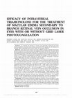 Research paper thumbnail of EFFICACY OF INTRAVITREAL TRIAMCINOLONE FOR THE TREATMENT OF MACULAR EDEMA SECONDARY TO BRANCH RETINAL VEIN OCCLUSION IN EYES WITH OR WITHOUT GRID LASER PHOTOCOAGULATION