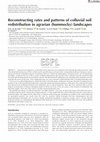 Research paper thumbnail of Reconstructing rates and patterns of colluvial soil redistribution in agrarian (hummocky) landscapes