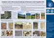 Research paper thumbnail of Subalpine soils in the terraced landscape of Ramosch, Lower Engadine (CH)