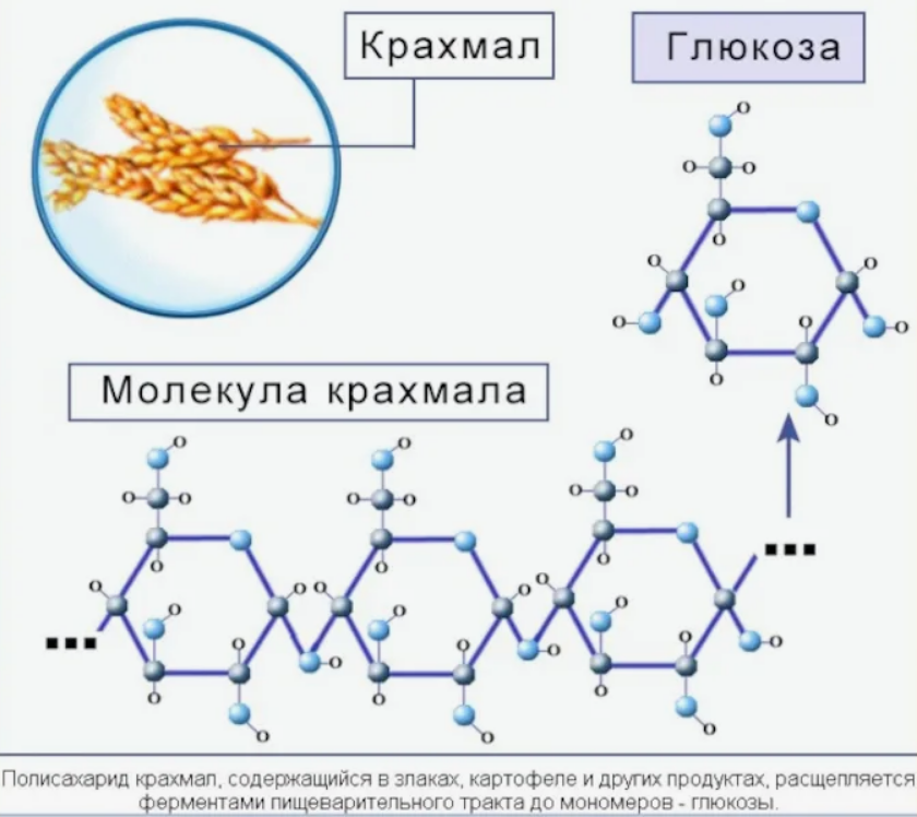 Влияние крахмала на инсулин. Крахмал строение молекулы крахмала. Строение молекулы крахмала. Структура молекулы крахмала. Схема образования молекул крахмала.