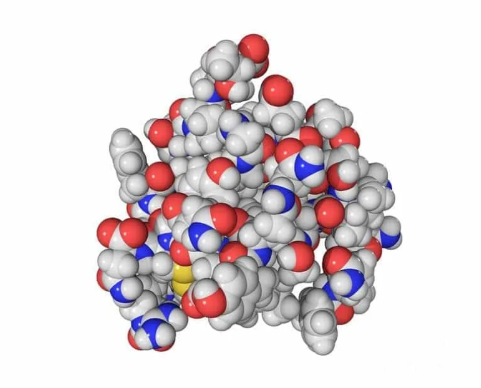 Инсулин. Молекула инсулина. Insulin гормон. Молекулы гормонов. Синтез молекулы инсулина.