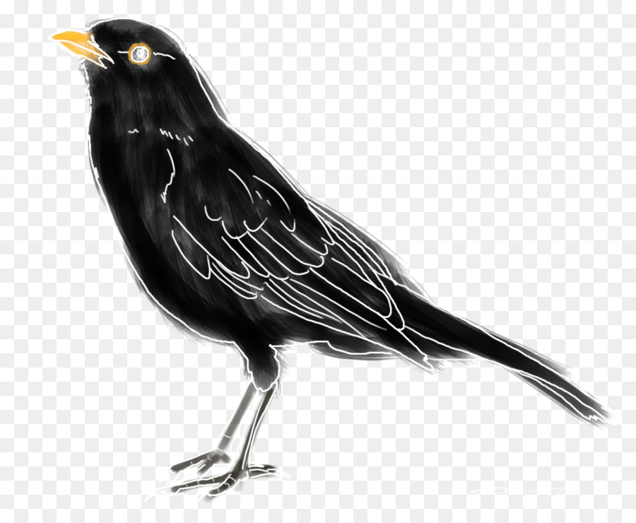 Schwarze Vogelillustration