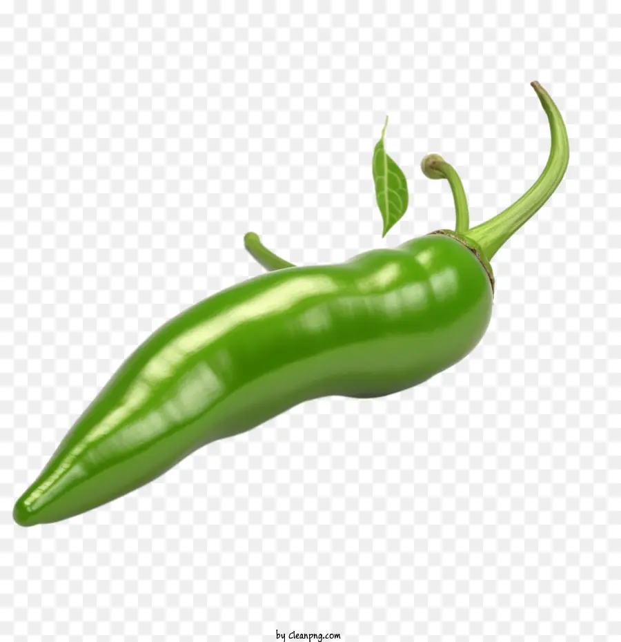 Chili Pepper tươi