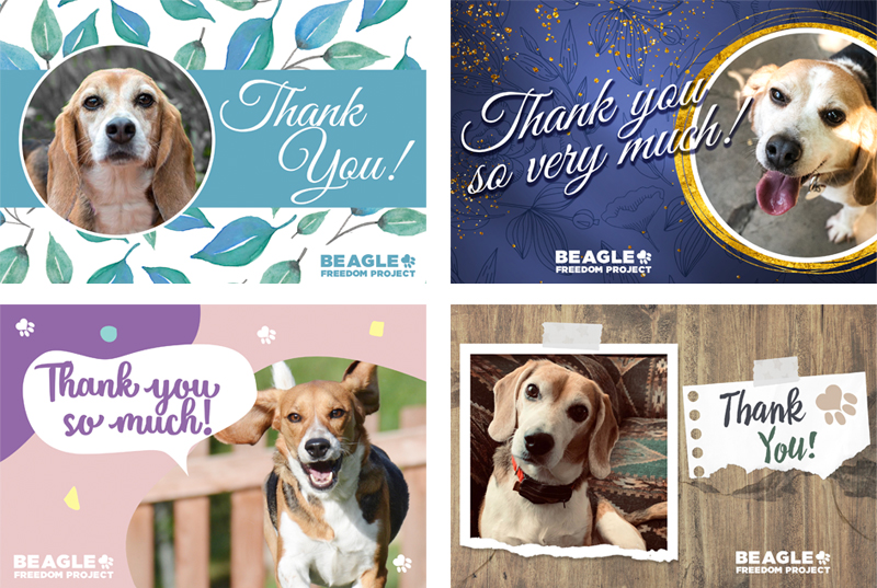 BFP Cards - Thank you